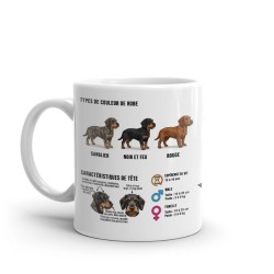Mug Teckel à Poil Dur Original - Idée Cadeau Chien