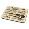Tapis De Souris Poissons D'eau Douce